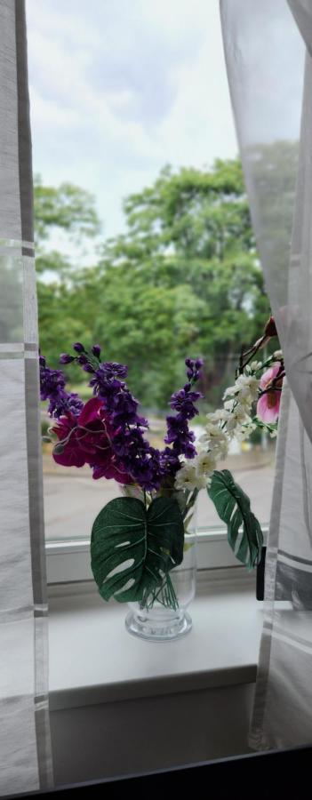 Elena Flat Orchidee Duisburg Zentrum エクステリア 写真