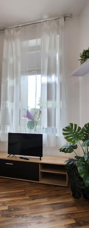 Elena Flat Orchidee Duisburg Zentrum エクステリア 写真